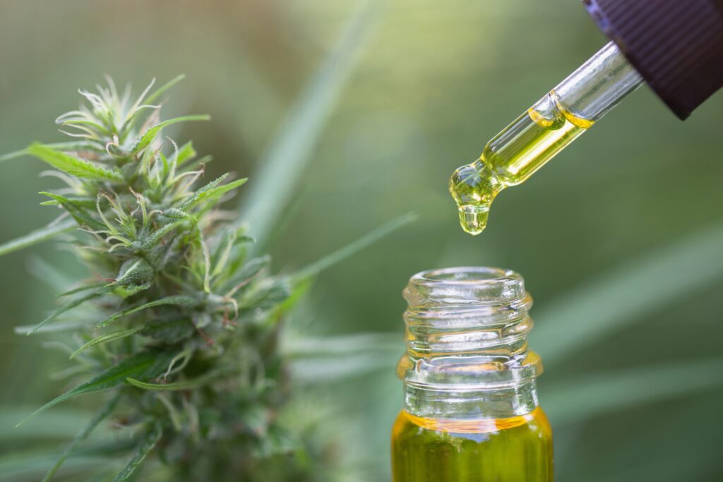Renhet I Fokus: Hvorfor CBDRevo.no Tilbyr Den Mest Pålitelige CBD Oljen I Norge